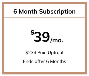 6 Month Subscription